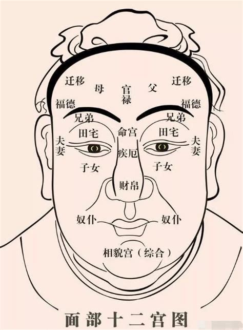 法令紋面相男|《麻衣神相》白话图解【相 法令纹】34种法令纹运势